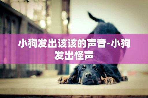 小狗發出該該的聲音-小狗發出怪聲