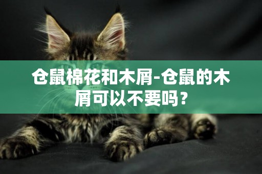 倉鼠棉花和木屑-倉鼠的木屑可以不要嗎？