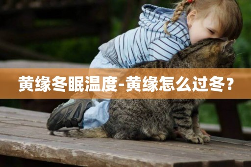 黃緣冬眠溫度-黃緣怎么過冬？