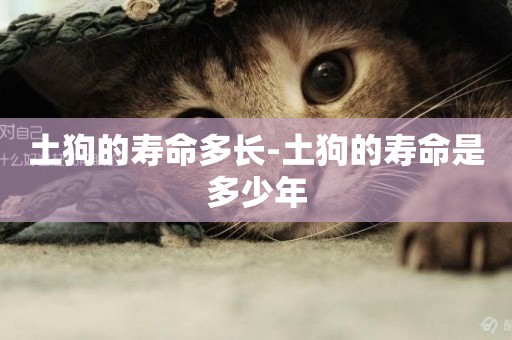 土狗的壽命多長-土狗的壽命是多少年