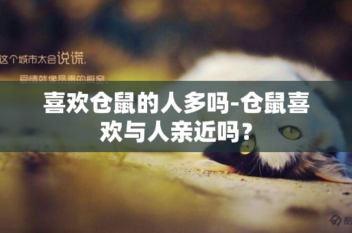 喜歡倉鼠的人多嗎-倉鼠喜歡與人親近嗎？
