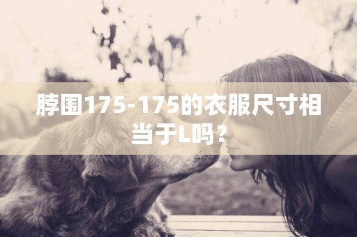 脖圍175-175的衣服尺寸相當于L嗎？