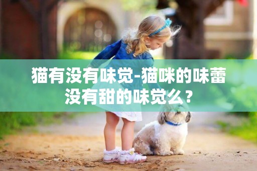 貓有沒有味覺-貓咪的味蕾沒有甜的味覺么？