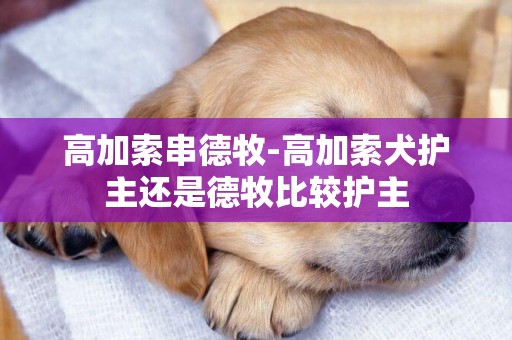 高加索串德牧-高加索犬護主還是德牧比較護主