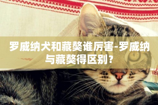羅威納犬和藏獒誰厲害-羅威納與藏獒得區別？
