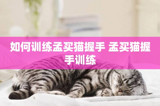 如何訓練孟買貓握手 孟買貓握手訓練