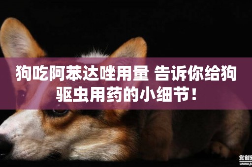 狗吃阿苯達唑用量 告訴你給狗驅蟲用藥的小細節！