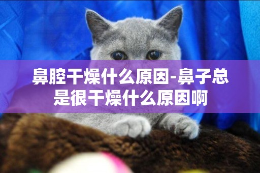 鼻腔干燥什么原因-鼻子總是很干燥什么原因啊