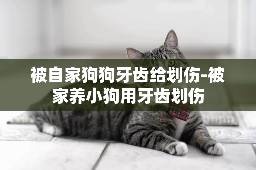 被自家狗狗牙齒給劃傷-被家養小狗用牙齒劃傷