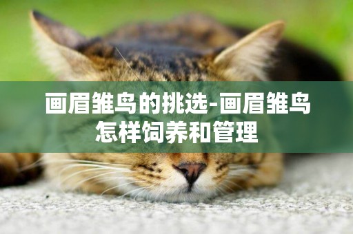 畫眉雛鳥的挑選-畫眉雛鳥怎樣飼養和管理