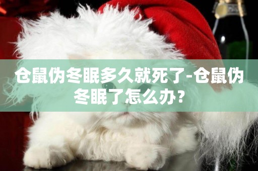 倉鼠偽冬眠多久就死了-倉鼠偽冬眠了怎么辦？