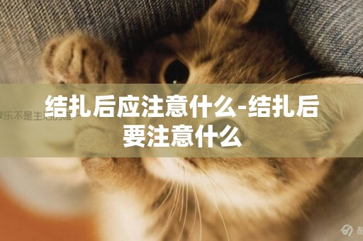 結扎后應注意什么-結扎后要注意什么