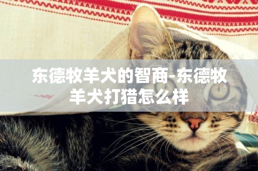 東德牧羊犬的智商-東德牧羊犬打獵怎么樣