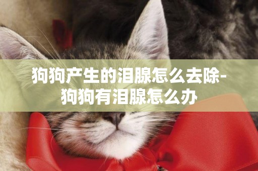 狗狗產生的淚腺怎么去除-狗狗有淚腺怎么辦