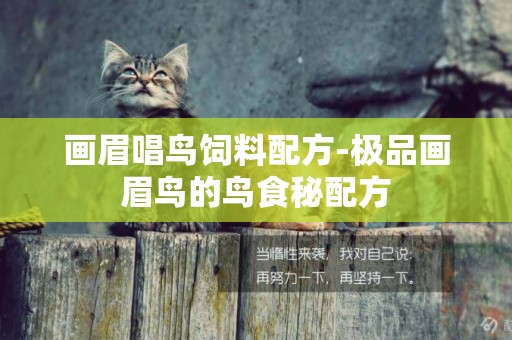 畫眉唱鳥飼料配方-極品畫眉鳥的鳥食秘配方