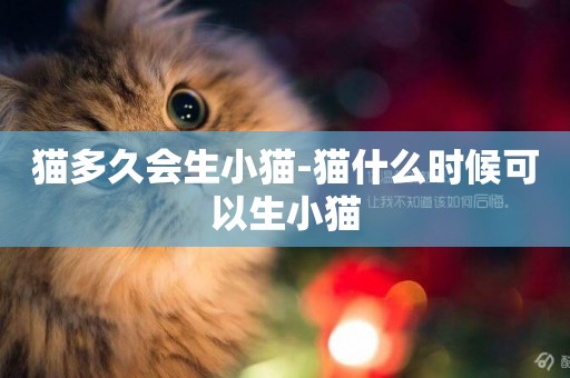 貓多久會生小貓-貓什么時候可以生小貓