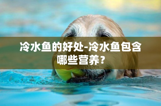 冷水魚的好處-冷水魚包含哪些營養？