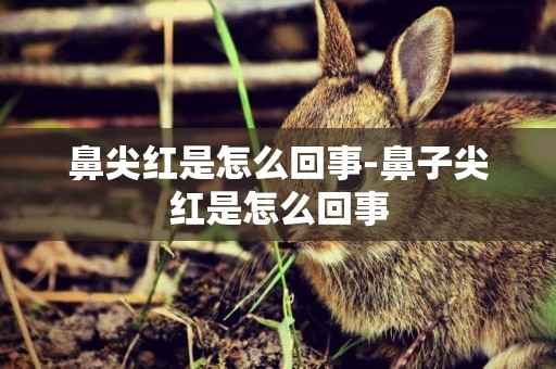 鼻尖紅是怎么回事-鼻子尖紅是怎么回事