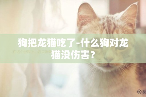 狗把龍貓吃了-什么狗對龍貓沒傷害？