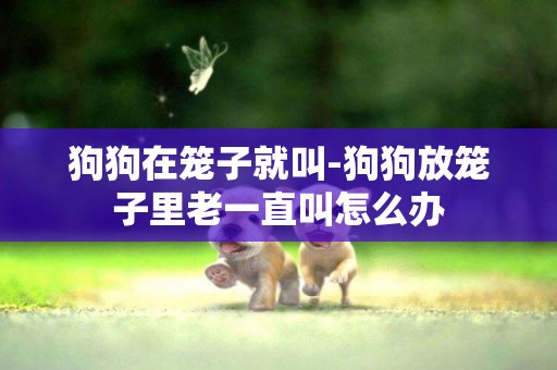 狗狗在籠子就叫-狗狗放籠子里老一直叫怎么辦