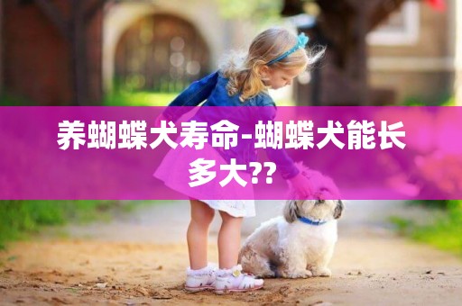 養蝴蝶犬壽命-蝴蝶犬能長多大??