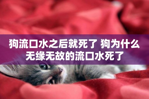 狗流口水之后就死了 狗為什么無緣無故的流口水死了