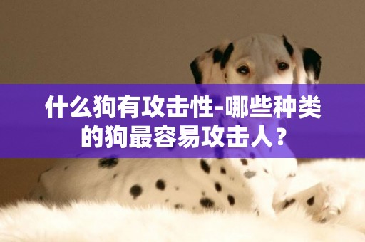 什么狗有攻擊性-哪些種類的狗最容易攻擊人？