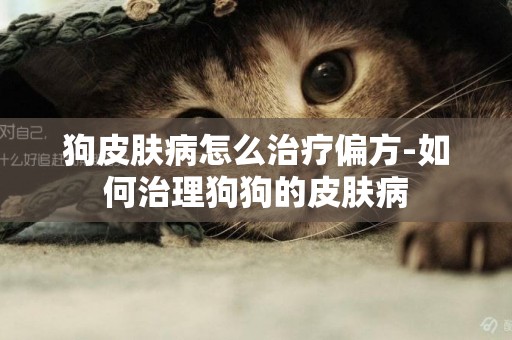 狗皮膚病怎么治療偏方-如何治理狗狗的皮膚病