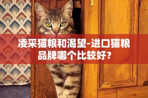 凌采貓糧和渴望-進口貓糧品牌哪個比較好？