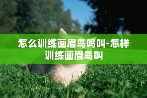 怎么訓練畫眉鳥鳴叫-怎樣訓練畫眉鳥叫