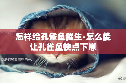 怎樣給孔雀魚催生-怎么能讓孔雀魚快點下崽