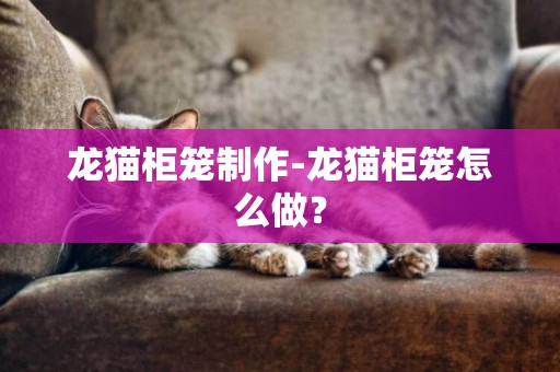 龍貓柜籠制作-龍貓柜籠怎么做？