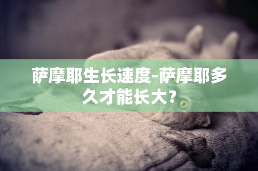 薩摩耶生長速度-薩摩耶多久才能長大？