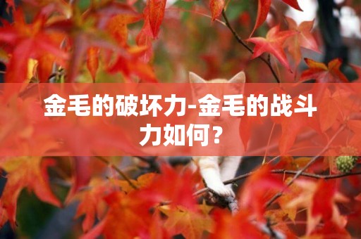 金毛的破壞力-金毛的戰斗力如何？