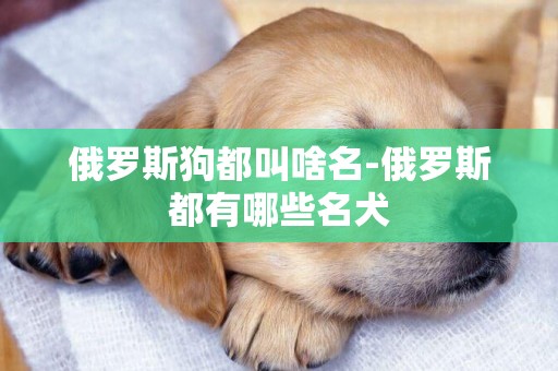 俄羅斯狗都叫啥名-俄羅斯都有哪些名犬