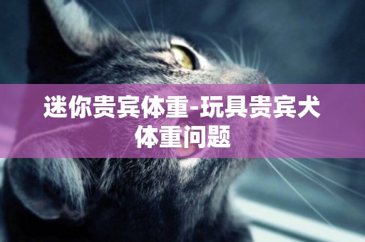 迷你貴賓體重-玩具貴賓犬體重問題