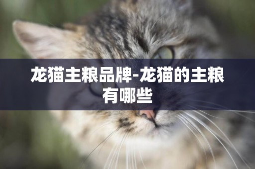龍貓主糧品牌-龍貓的主糧有哪些