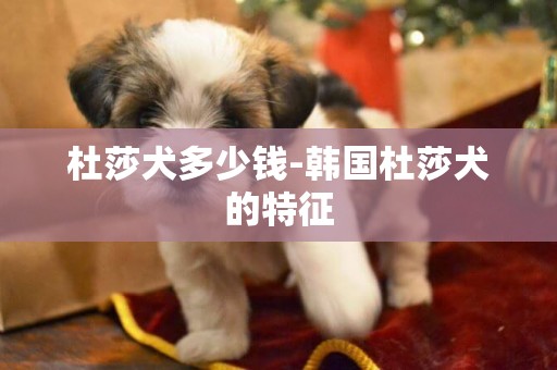 杜莎犬多少錢-韓國杜莎犬的特征