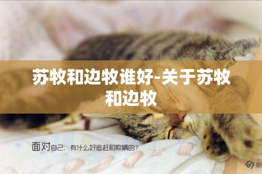蘇牧和邊牧誰好-關于蘇牧和邊牧