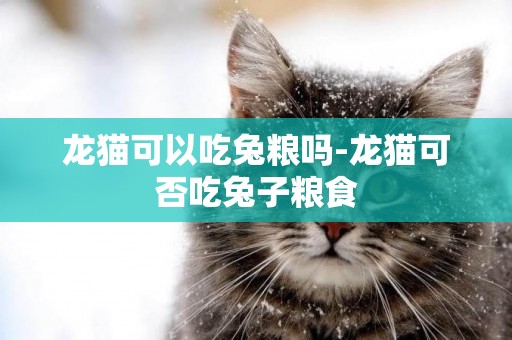 龍貓可以吃兔糧嗎-龍貓可否吃兔子糧食