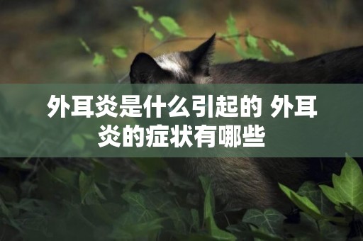 外耳炎是什么引起的 外耳炎的癥狀有哪些