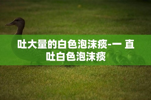 吐大量的白色泡沫痰-一 直吐白色泡沫痰