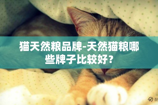 貓天然糧品牌-天然貓糧哪些牌子比較好？