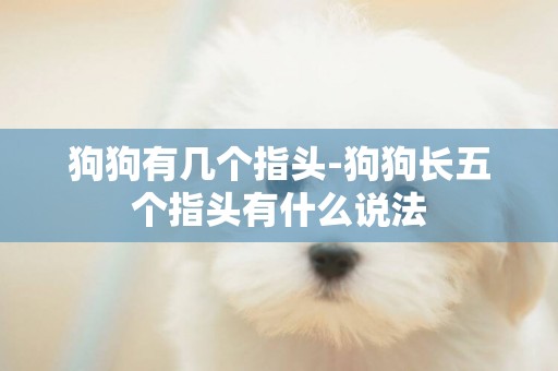 狗狗有幾個指頭-狗狗長五個指頭有什么說法
