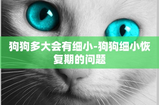 狗狗多大會有細小-狗狗細小恢復期的問題