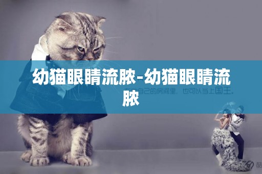 幼貓眼睛流膿-幼貓眼睛流膿