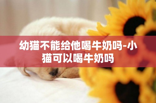 幼貓不能給他喝牛奶嗎-小貓可以喝牛奶嗎