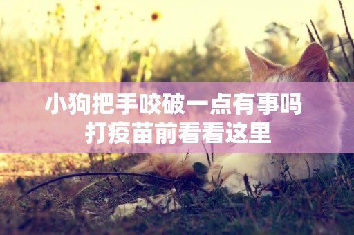 小狗把手咬破一點有事嗎 打疫苗前看看這里 小狗把手咬破一點有事嗎 打疫苗前看看這里