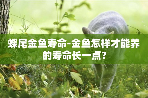 蝶尾金魚壽命-金魚怎樣才能養的壽命長一點？