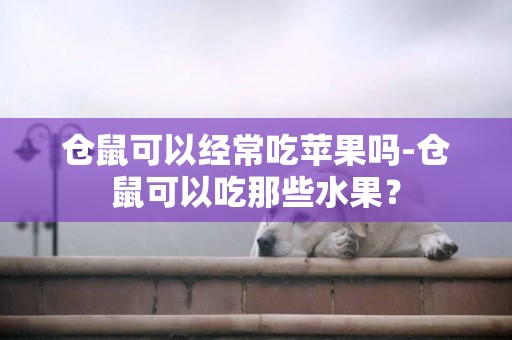 倉鼠可以經常吃蘋果嗎-倉鼠可以吃那些水果？